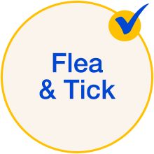 Flea & Tick Solutions